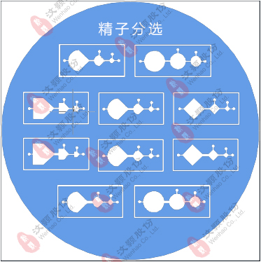 1694164181223840.jpg 微流控芯片|微流控芯片批量加工