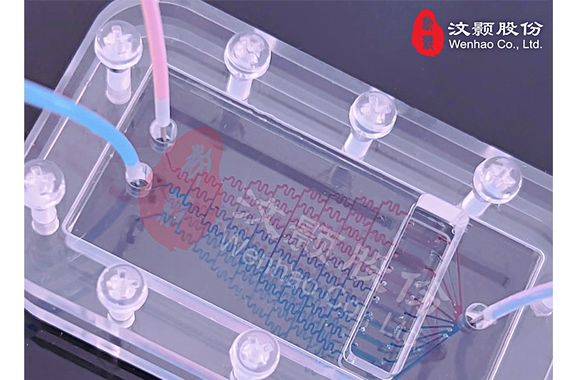 1718608953896686.jpg 1718608953896686.jpg