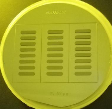 SU-8硅片模具介紹 (4).jpg