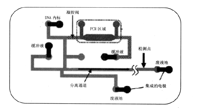 微流控芯片|微流控芯片批量加工