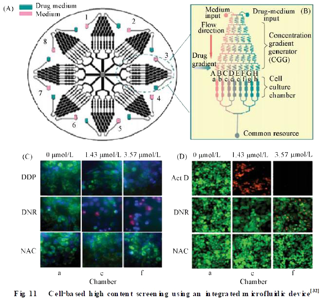 微流控芯片|通用實驗室